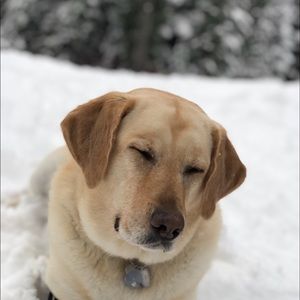 Meet your Posher, Kaylie